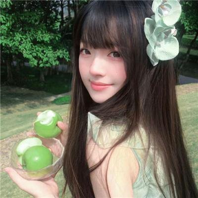 金式森林粤语